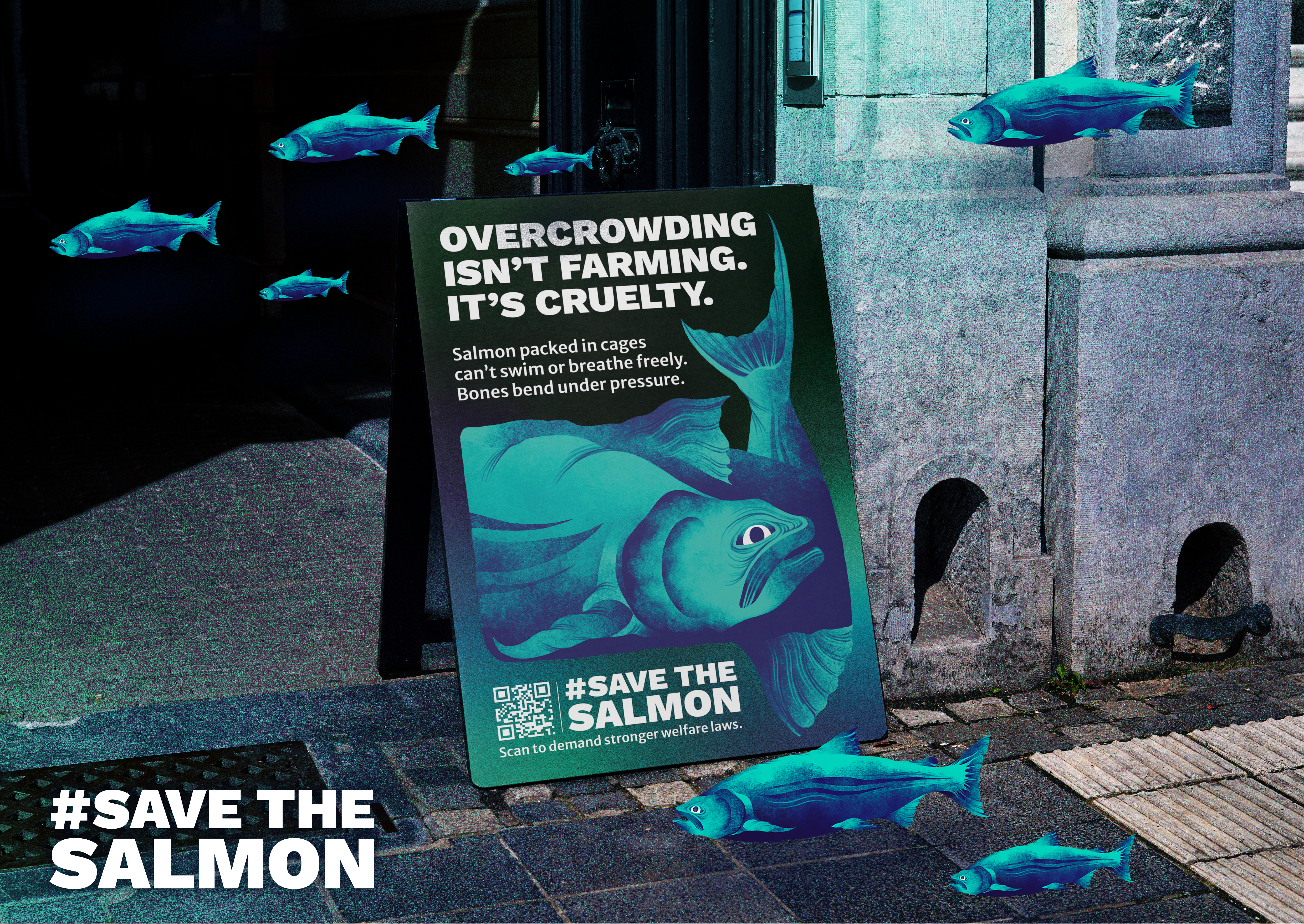 #SaveTheSalmon project imagery